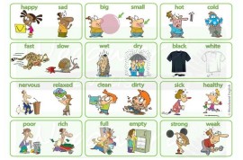 Bộ 50 cặp tính từ trái nghĩa thông dụng nhất trong tiếng Anh
